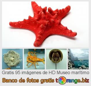 Banco de imagen tOrange ofrece fotos gratis de la sección:  museo-marítimo
