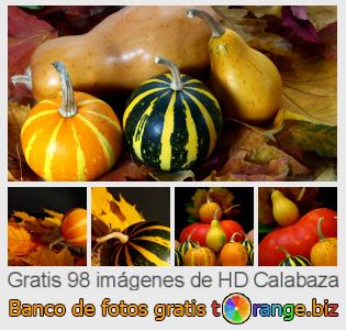 Banco de imagen tOrange ofrece fotos gratis de la sección:  calabaza