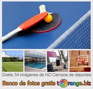 Banco de imagen tOrange ofrece fotos gratis de la sección:  campos-de-deportes