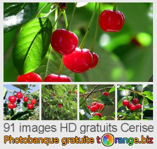 Banque d'images tOrange offre des photos libres de la section:  cerise