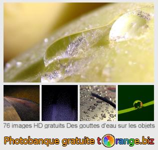 Banque d'images tOrange offre des photos libres de la section:  des-gouttes-deau-sur-les-objets