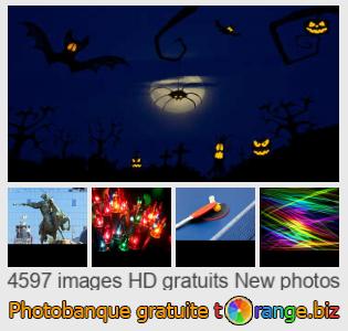 Banque d'images tOrange offre des photos libres de la section:  nouvelles-photos