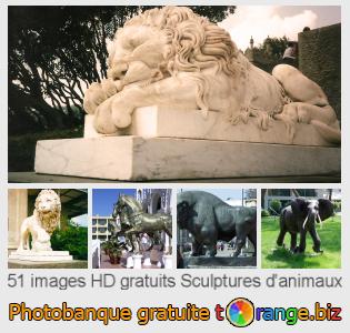 Banque d'images tOrange offre des photos libres de la section:  sculptures-danimaux