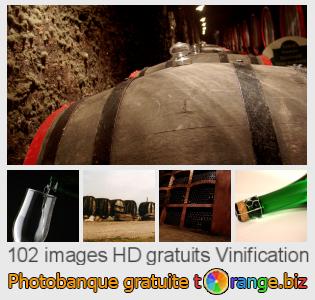 Banque d'images tOrange offre des photos libres de la section: vinification
