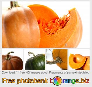 images free photo bank tOrange offers free photos from the section: fragments-pumpkin-isolated