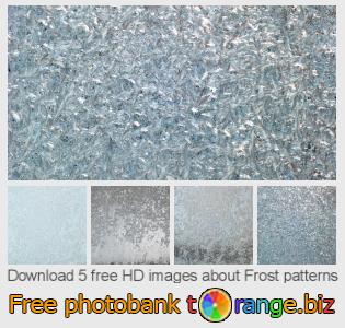 images free photo bank tOrange offers free photos from the section:  frost-patterns