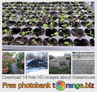 images free photo bank tOrange offers free photos from the section: glasshouse