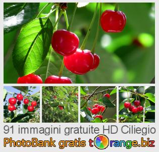 Banca Immagine di tOrange offre foto gratis nella sezione:  ciliegio