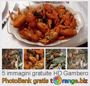 Banca Immagine di tOrange offre foto gratis nella sezione:  gambero