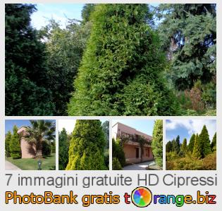 Banca Immagine di tOrange offre foto gratis nella sezione:  cipressi