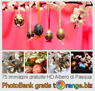 Banca Immagine di tOrange offre foto gratis nella sezione:  albero-di-pasqua