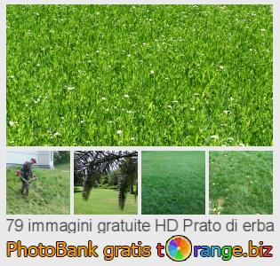 Banca Immagine di tOrange offre foto gratis nella sezione:  prato-di-erba