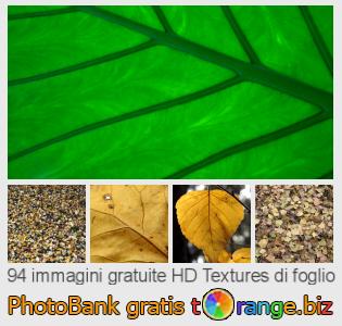 Banca Immagine di tOrange offre foto gratis nella sezione: textures-di-foglio