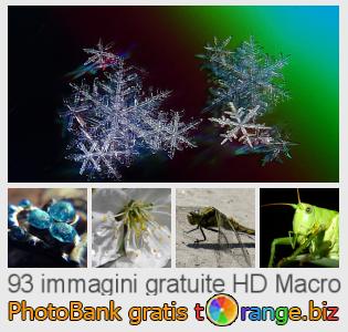 Banca Immagine di tOrange offre foto gratis nella sezione:  macro