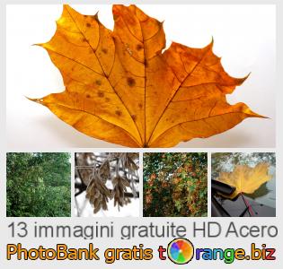 Banca Immagine di tOrange offre foto gratis nella sezione:  acero