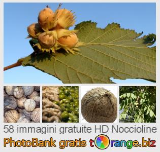Banca Immagine di tOrange offre foto gratis nella sezione:  noccioline