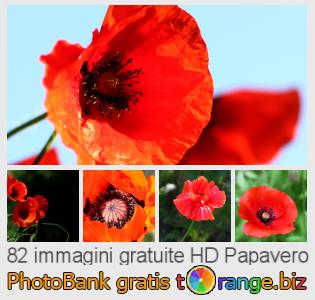 Banca Immagine di tOrange offre foto gratis nella sezione:  papavero