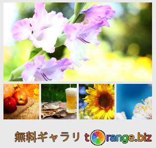 イメージの銀行にtOrangeはセクションからフリーの写真を提供しています： デスクトップの背景