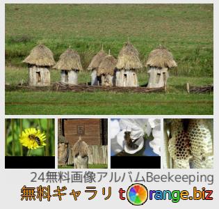 イメージの銀行にtOrangeはセクションからフリーの写真を提供しています： 養蜂