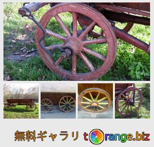 イメージの銀行にtOrangeはセクションからフリーの写真を提供しています： カートホイール