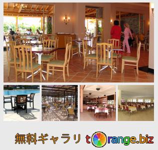 イメージの銀行にtOrangeはセクションからフリーの写真を提供しています： 椅子