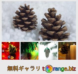 イメージの銀行にtOrangeはセクションからフリーの写真を提供しています： クリスマス松ぼっくり