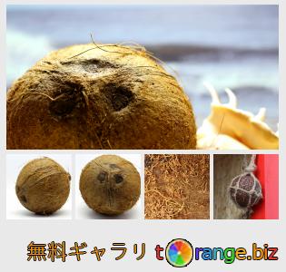 イメージの銀行にtOrangeはセクションからフリーの写真を提供しています： ココナッツ