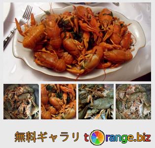 イメージの銀行にtOrangeはセクションからフリーの写真を提供しています： ザリガニ
