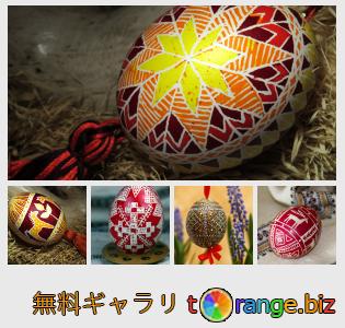 イメージの銀行にtOrangeはセクションからフリーの写真を提供しています: イースターエッグ