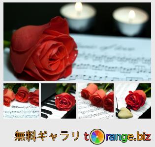 イメージの銀行にtOrangeはセクションからフリーの写真を提供しています： 花とノート