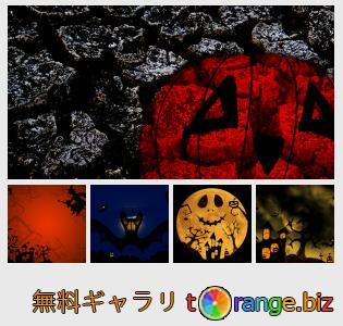 イメージの銀行にtOrangeはセクションからフリーの写真を提供しています： ハロウィーンの背景