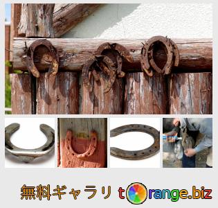 イメージの銀行にtOrangeはセクションからフリーの写真を提供しています： 蹄鉄投げ遊び