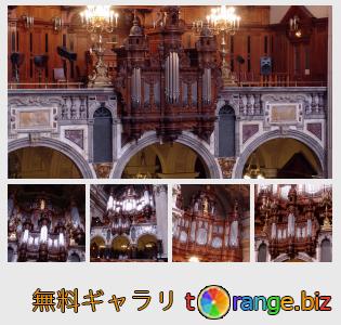 イメージの銀行にtOrangeはセクションからフリーの写真を提供しています： 楽器パイプオルガン