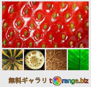 イメージの銀行にtOrangeはセクションからフリーの写真を提供しています： 自然テクスチャ
