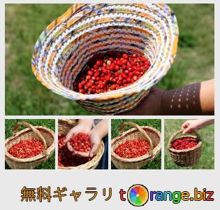 イメージの銀行にtOrangeはセクションからフリーの写真を提供しています： バスケット内のイチゴ