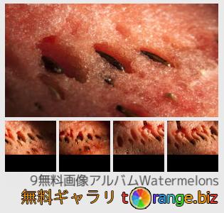 イメージの銀行にtOrangeはセクションからフリーの写真を提供しています： 西瓜
