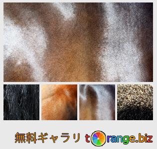 イメージの銀行にtOrangeはセクションからフリーの写真を提供しています： ウールの質感