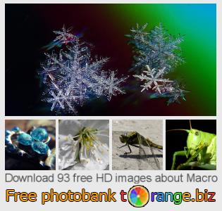 images free photo bank tOrange offers free photos from the section: macro