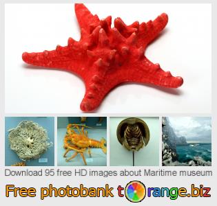 images free photo bank tOrange offers free photos from the section:  maritime-museum