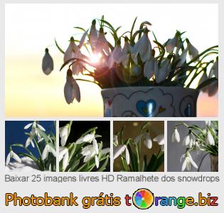 Banco de imagem tOrange oferece fotos grátis da seção:  ramalhete-dos-snowdrops