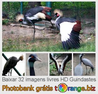 Banco de imagem tOrange oferece fotos grátis da seção:  guindastes