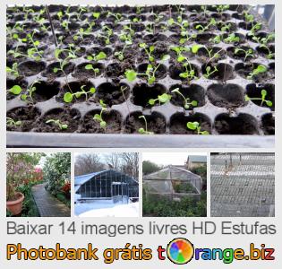 Banco de imagem tOrange oferece fotos grátis da seção:  estufas