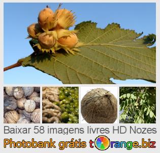 Banco de imagem tOrange oferece fotos grátis da seção:  nozes