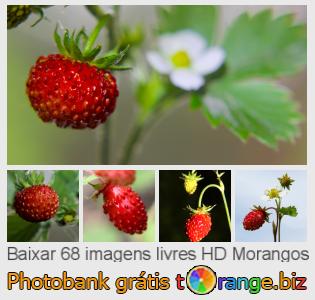 Banco de imagem tOrange oferece fotos grátis da seção:  morangos