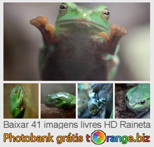 Banco de imagem tOrange oferece fotos grátis da seção:  raineta