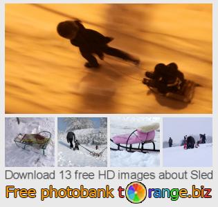 images free photo bank tOrange offers free photos from the section: sled