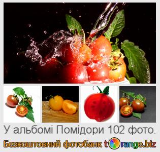 Фотобанк tOrange пропонує безкоштовні фото з розділу: помідори