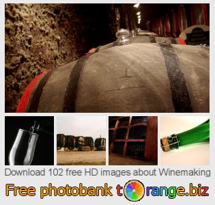 images free photo bank tOrange offers free photos from the section: winemaking