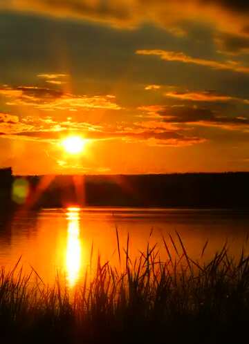 FX №113274 Sunset over river water