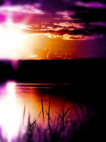 FX №113373  Sunset card